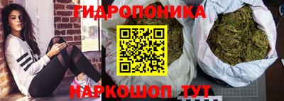 jwh Белореченск