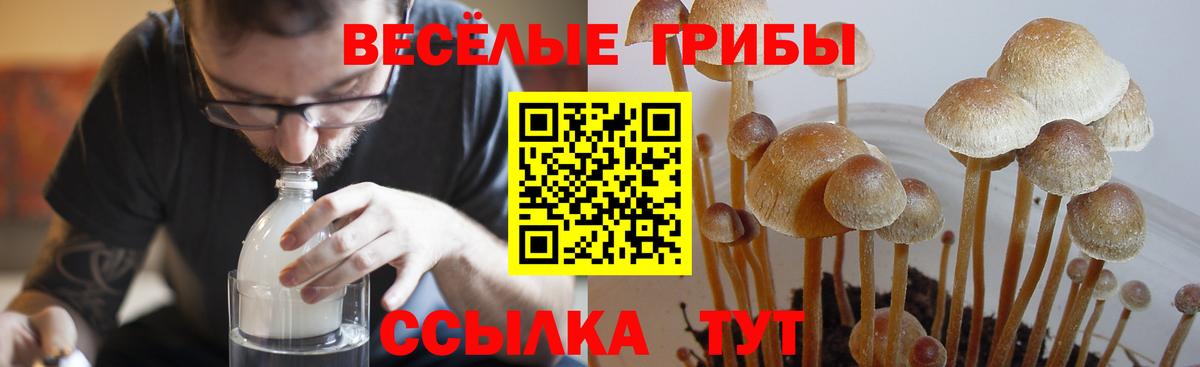 Псилоцибиновые грибы Magic Shrooms  Псилоцибиновые грибы Cubensis  хочу   Вход с VPN  Ивантеевка 